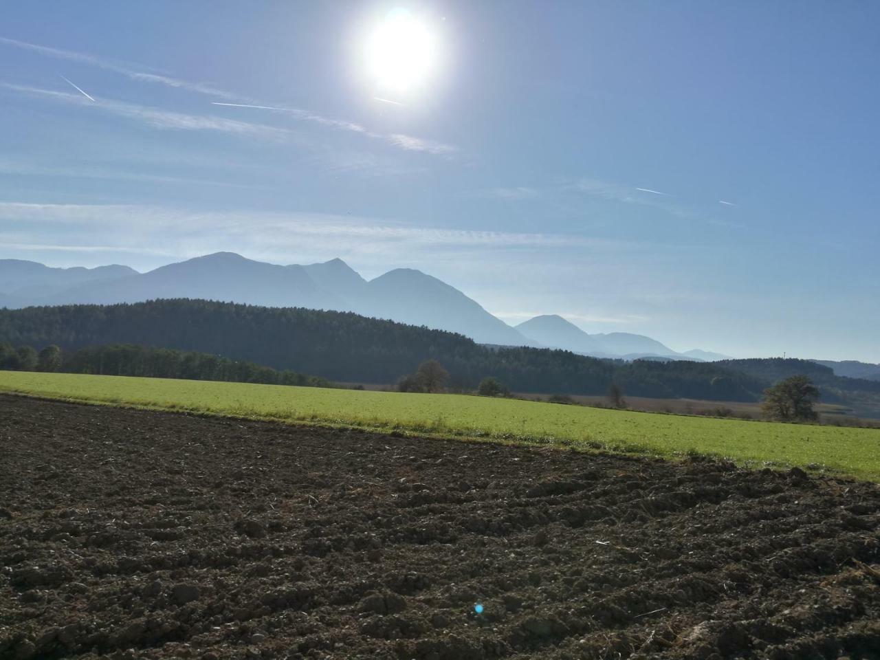 Landgasthof Piroutz 圣卡荐 外观 照片